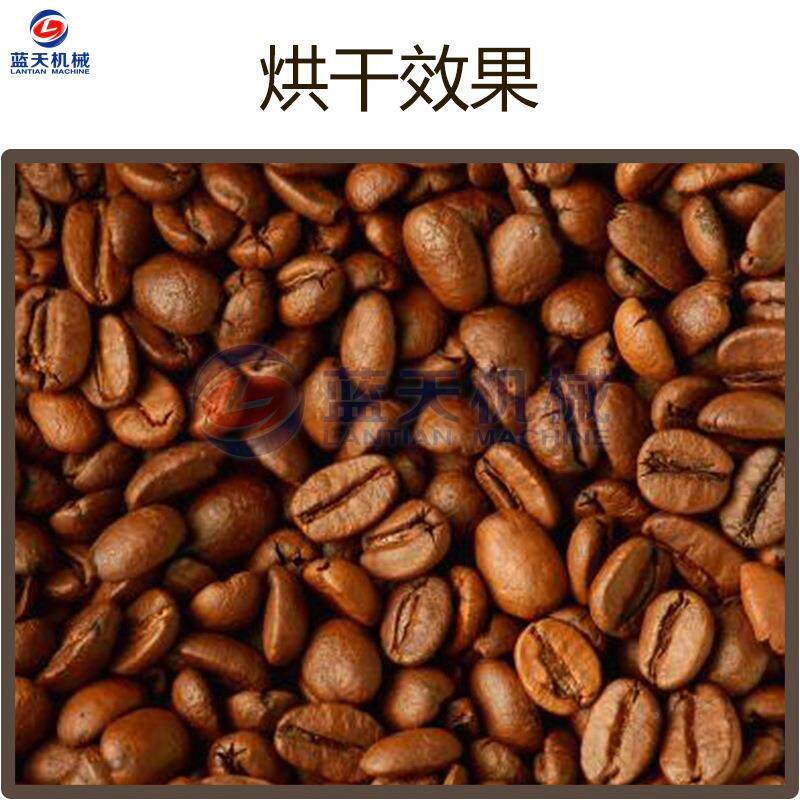 空烘气能咖啡豆干干机 可果咖啡豆烘干磨ELD粉生产线可 可可豆烘