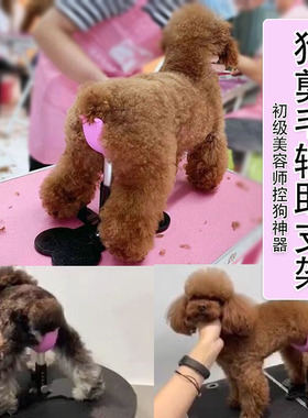 魔梯MOTI宠物美容师固定狗狗座椅犬辅助站立支架修剪毛板凳可调节