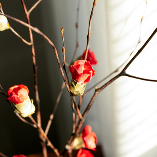 腊梅干花客厅摆设真花风干天然花束禅意插花干枝茶几摆件装饰梅花