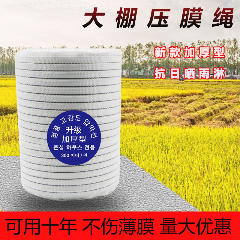 大棚压膜绳加厚压膜带抗老化压膜线涤纶丝白托膜带温室配件防风绳,农机/农具/农膜,大棚压膜绳/压膜线,淘宝优惠券,粉丝福利购,淘宝优惠卷