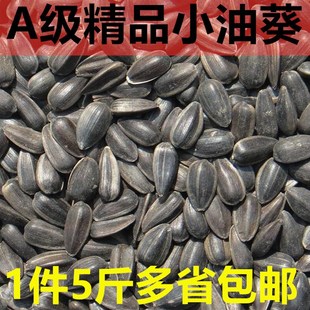 生黑珍珠小瓜子油葵籽 鹦鹉鸟食仓鼠零食鸟粮鸽粮5斤包邮
