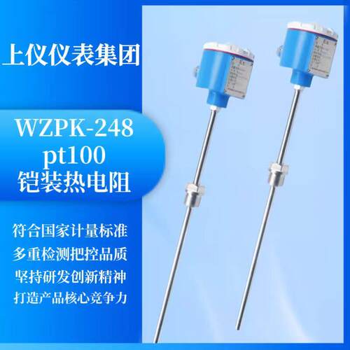 温度感测器WZPK-248防爆铠装热电阻PT100 WRNK-248热电偶K型Φ8mm