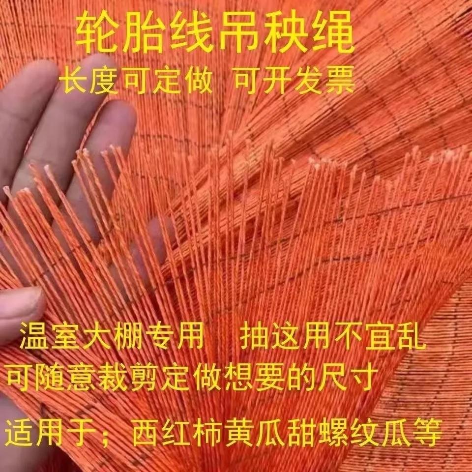 吊秧绳轮胎线尼龙线吊秧绳吊蔓绳大棚蔬菜黄瓜辣椒番茄吊绳