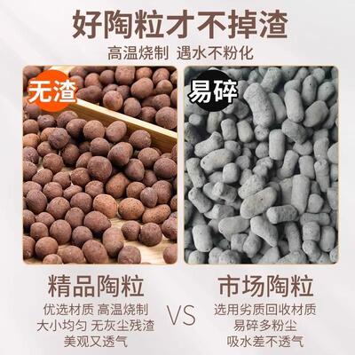 陶粒垫底养花专用多肉土陶土粒盆栽彩色透气铺面石回填火山石颗粒