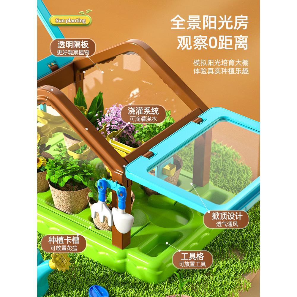 儿童种植迷你小盆栽温室阳台种蔬菜观察生长幼儿园小学生种花植物