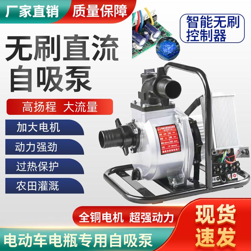 自流无刷自吸泵 大流量电动车水泵12V24V48V60V农用电动车抽水泵