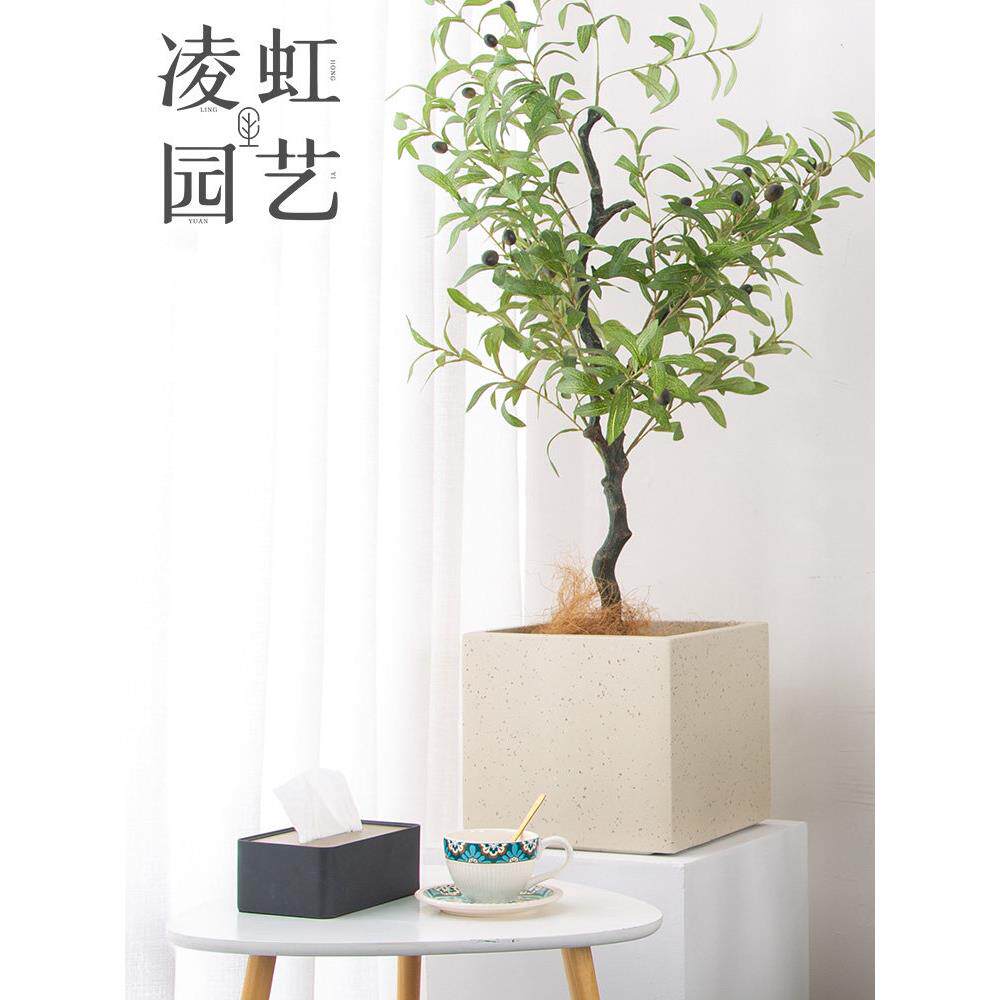 凌红方形水泥花盆特大号简约斯堪的纳维亚风格绿色植物盆栽彷花岗