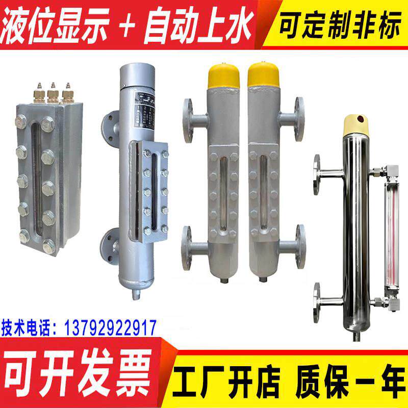 蒸汽发生器锅炉黑白水位计一体式电极式报警器接管式液位计传感器