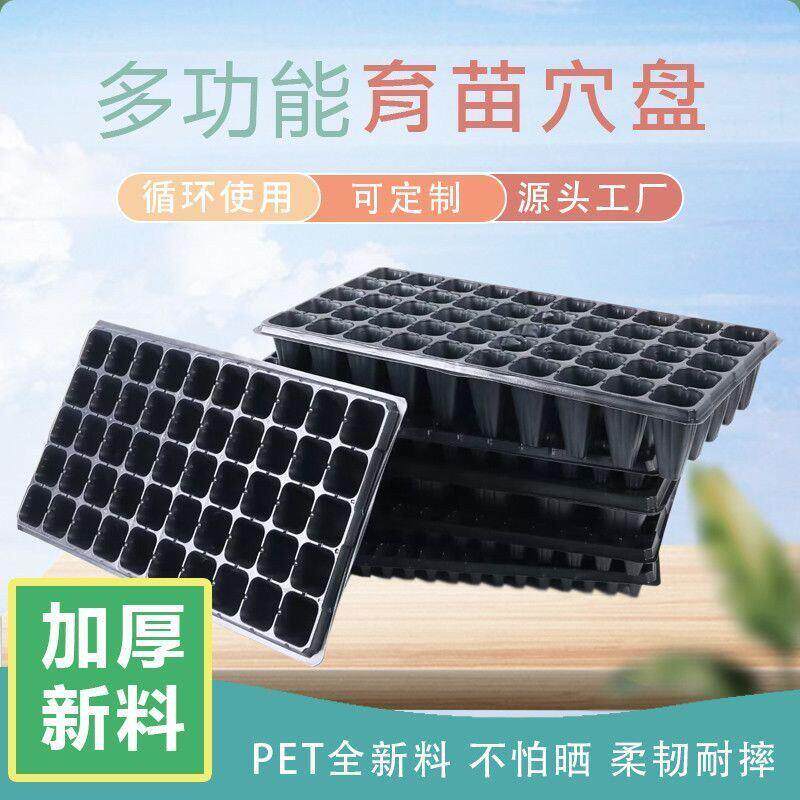 加厚苗盘育苗盘穴盘草莓玉米辣椒西瓜蔬菜托盘营养育苗杯穴盘销售