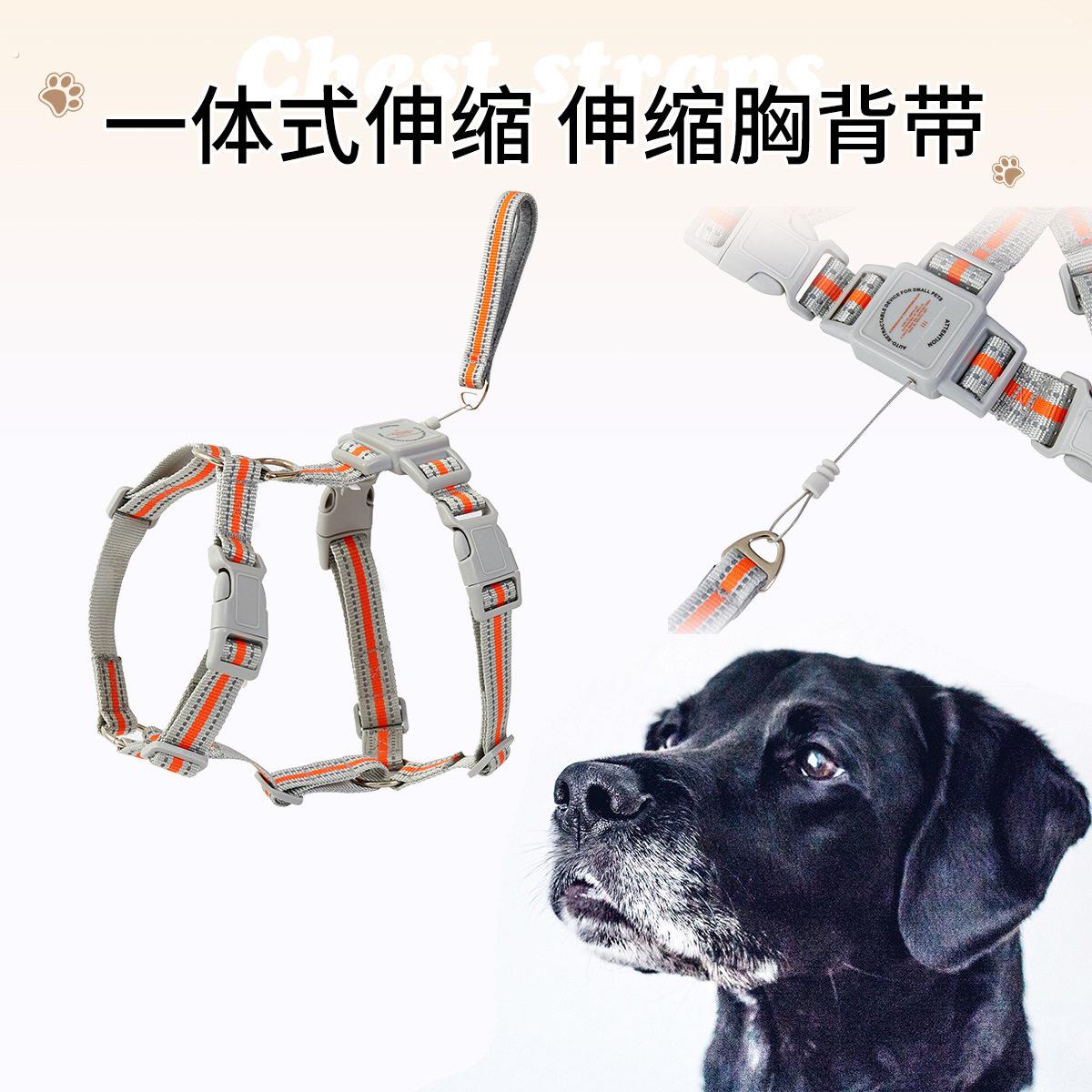 宠物一体伸缩牵引绳胸背带反光织带工字背心狗狗牵引狗绳大型犬