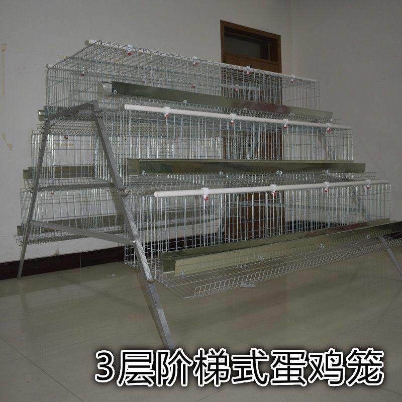 蛋鸡养殖笼养鸡场专用鸡笼子家用母鸡下蛋产蛋鸡笼自动滚蛋鸡笼子