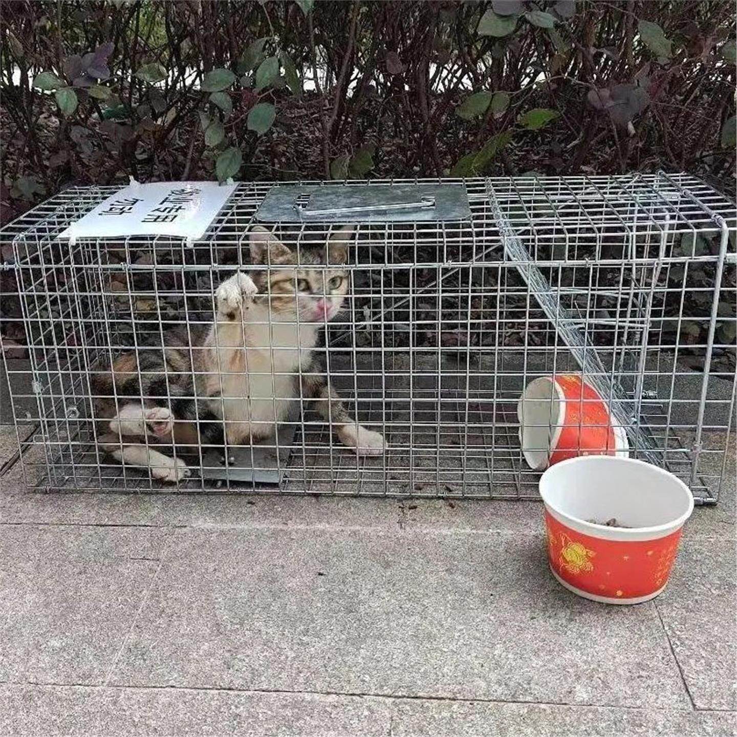 流浪狗野猫救助笼子新款特