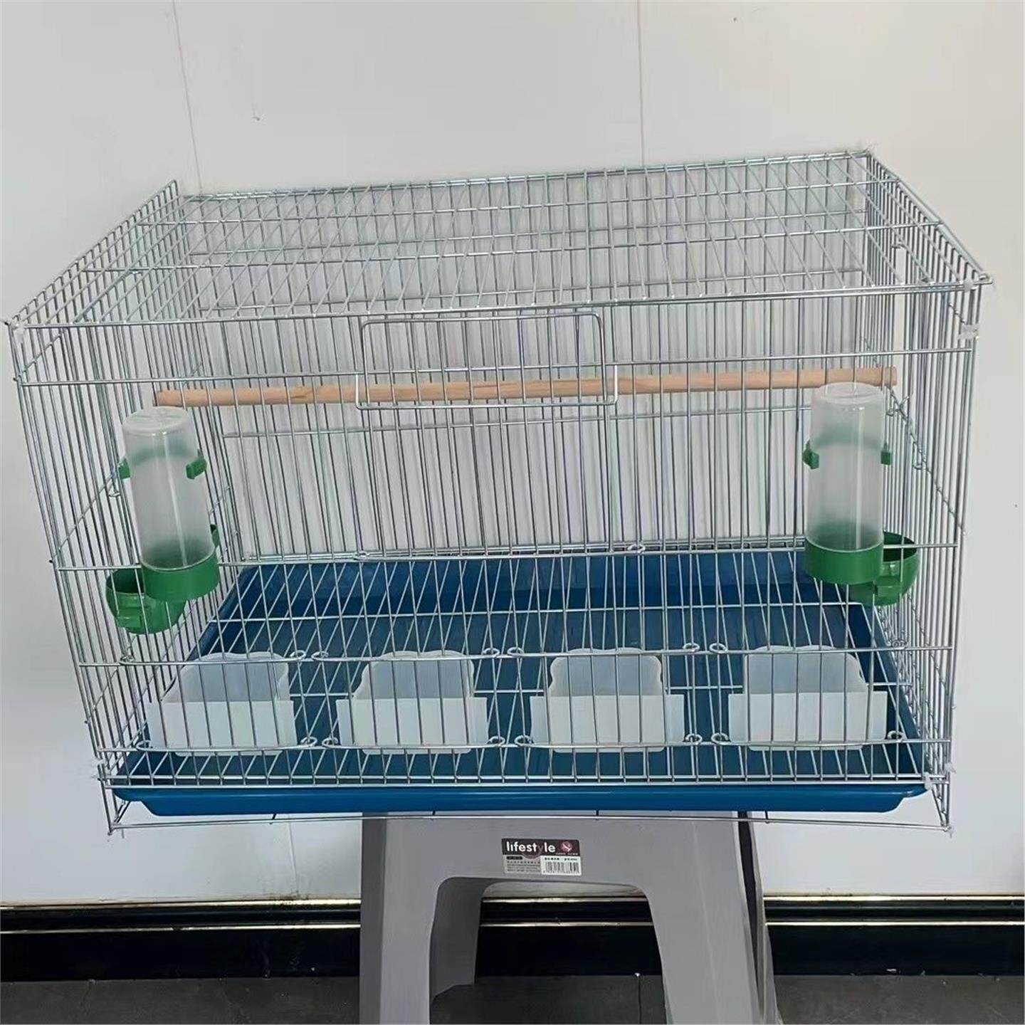 玄凤八哥细丝大型牡丹10虎
