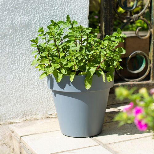霍伦盆深高款塑料花盆加厚阳台种植控根户外庭院大号口径盆栽绿植