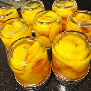 玻璃酱菜罐分装杯密封燕窝蛋糕瓶带盖罐头瓶包装圆果酱奶昔酸奶杯