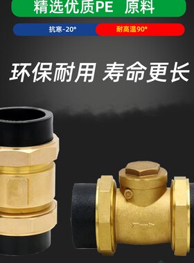 PE黄铜止回阀4/6分1寸卧式立式止阀内外丝水管道单向阀DN40/50/63