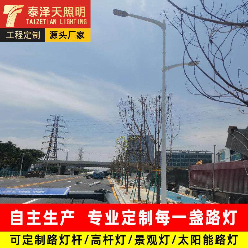 LED高低臂路灯6/8/10/12米太阳能双头道路灯户外新农村双臂高杆灯