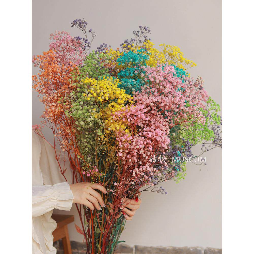 满天星干花花束家居摆设客厅装饰永生花插花摆件生日送人鲜花大束