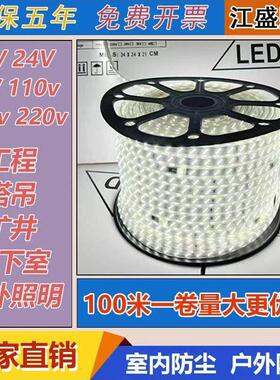 24V36V低压Led灯条127V220V照明海洋矿洞塔吊场施工现场地下室