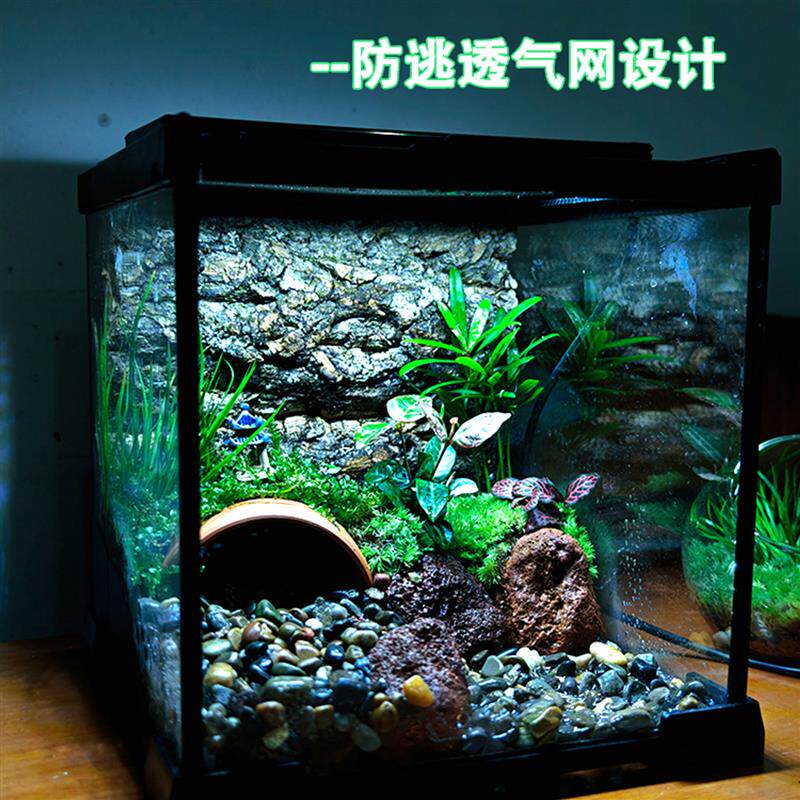 角蛙饲养箱生态缸造景全套养螃蟹专用缸桌面爬宠缸微景观成品摆件