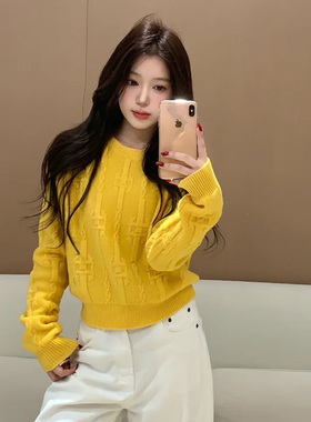 CHENXI/CE家芥末橘色罗纹饰边链条提花羊毛毛针织衫