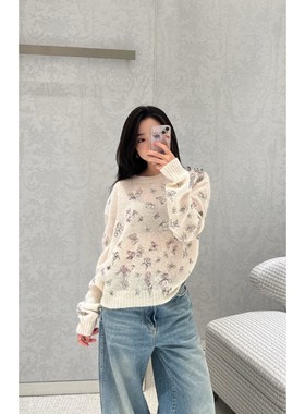 CHENXI/26A刺绣蝴蝶圆领针织毛针织衫毛衣3282