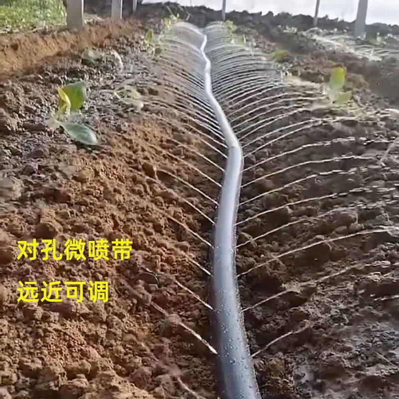 农用灌溉喷带加大孔对孔微喷带10厘米大棚蔬菜喷水带喷灌带滴水带