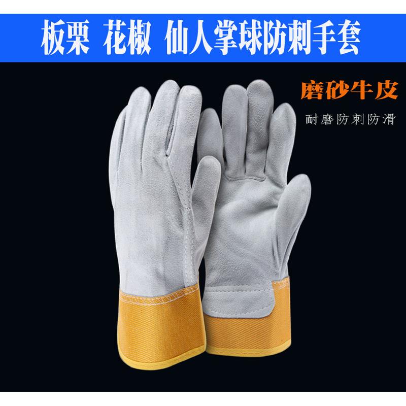 防针刺手套牛皮防刺穿玫瑰皂角树板栗月季刺猬防扎兔子输液针