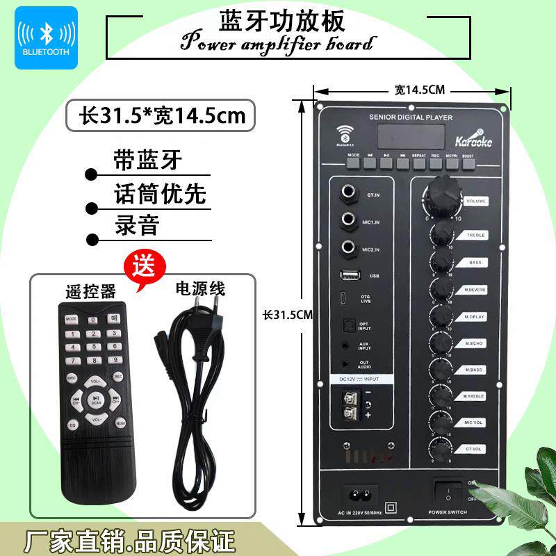 大功率DSP蓝牙功放板12V电瓶220V充电大功率主板改装组装音响配件