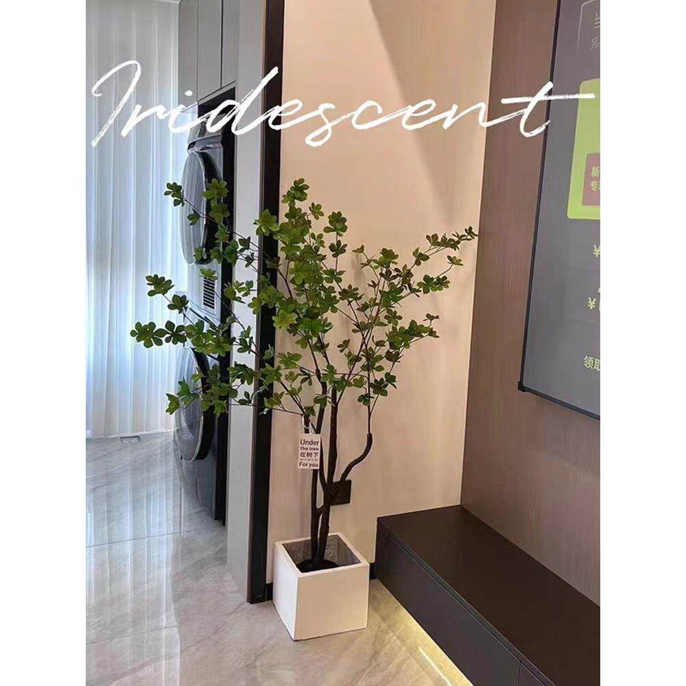 挂钟树模拟绿色植物马醉木假绿色植物装饰室内植物彷生盆栽客厅落