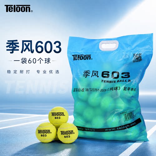 天龙网球高弹耐磨60个装训练球