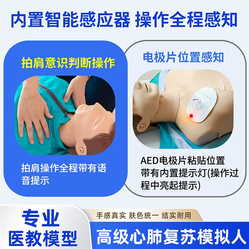 心肺复苏模拟人CPR急救模拟人全身心脏训练复苏人工呼吸假人教学