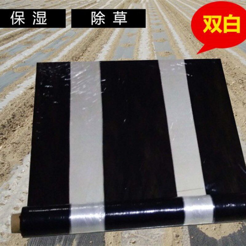 黑白相间地膜农用白黑地膜银黑大棚蔬菜果树地膜双色反光膜草莓膜