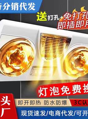 冲凉房暖灯化妆室洗澡加热灯壁挂式浴霸取暖灯两灯三灯暖风暖一体