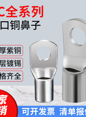 SC窥口铜鼻子冷压接线端子紫铜线耳鼻子船用短接头10/16/25-8平方