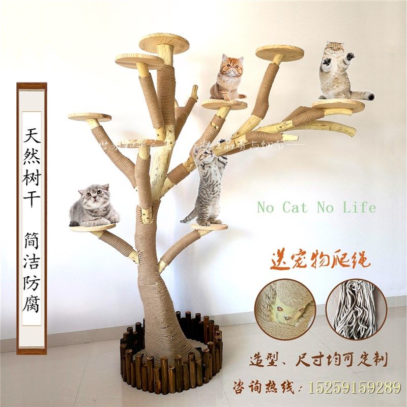 实木猫爬架耐磨不粘毛原木枯树干大型窝抓板爬树宠物玩具跳台一体,宠物/宠物食品及用品,猫爬架,淘宝优惠券,粉丝福利购,淘宝优惠卷