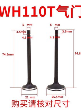 适用WY电喷K44气门佳御WH110T-2-3-5发动机气门伞气门杆配件