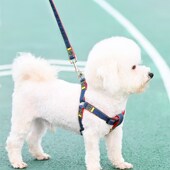 狗狗牵引绳大型中型小型犬狗炼子狗项圈泰迪金毛遛狗绳子宠物用品