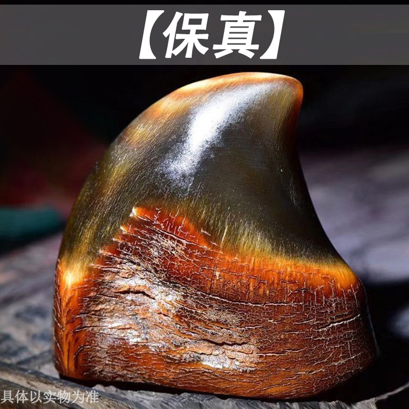 【保真】披毛犀整角装饰品小摆件珍贵收藏精美手把件角角