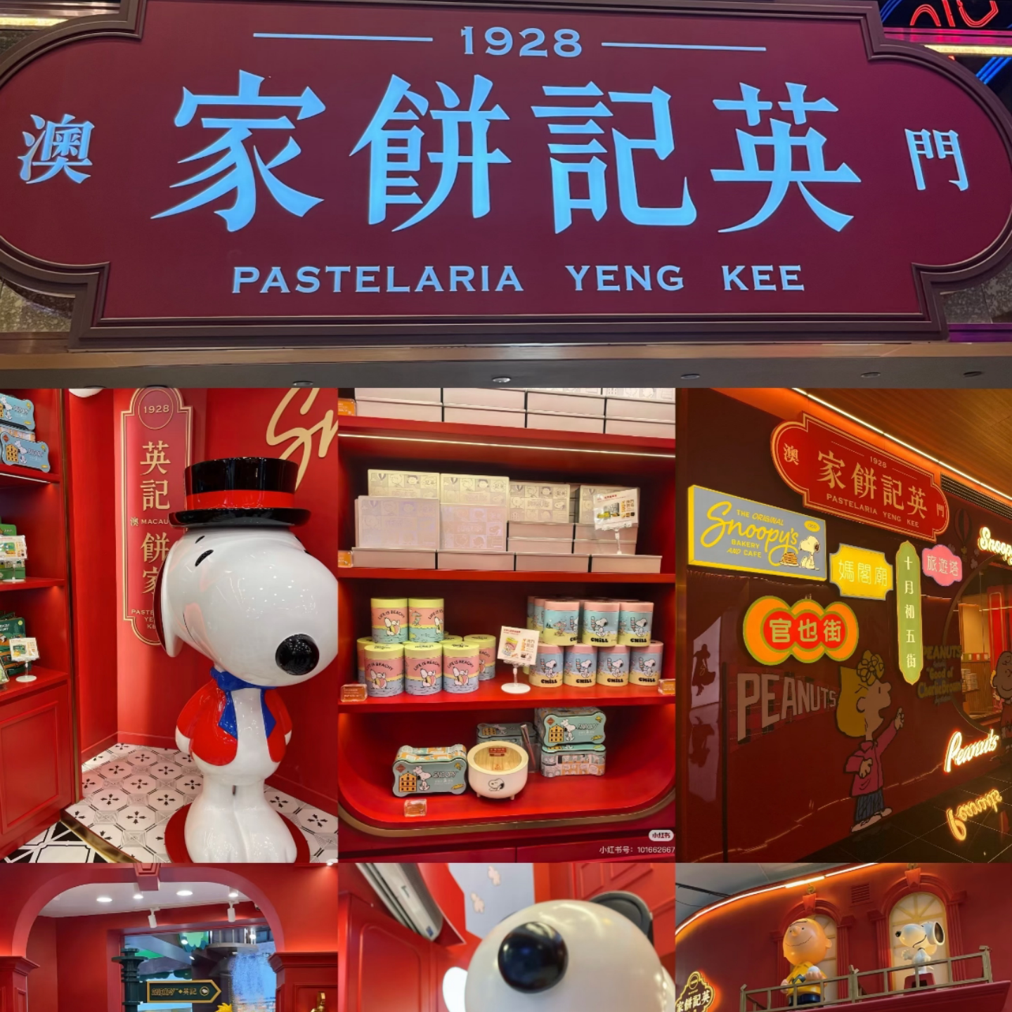 澳门英记史努比新品圣诞新年三重奏曲奇开心果腰果音乐盒投影送礼