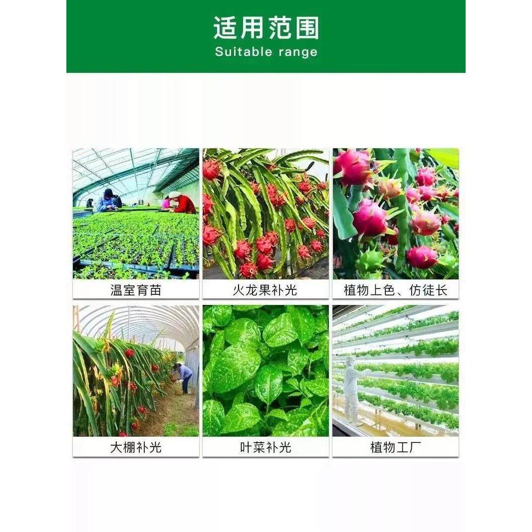 全光谱植物补光模拟太阳室内温室蔬菜花苗多肉着色植物生长光