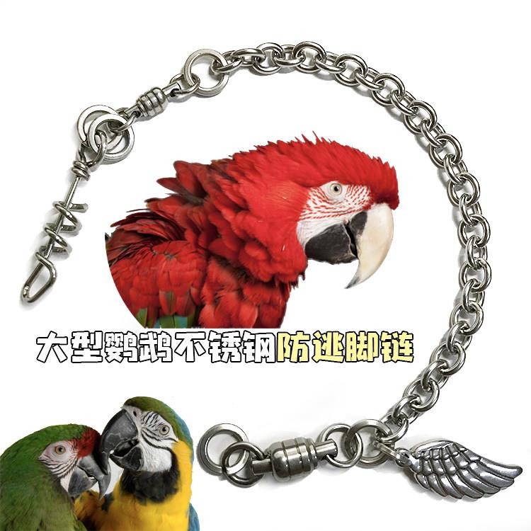O加粗304不锈钢鹦鹉脚炼大型蓝黄绿翅五彩防逃脚炼鸟站架脚炼