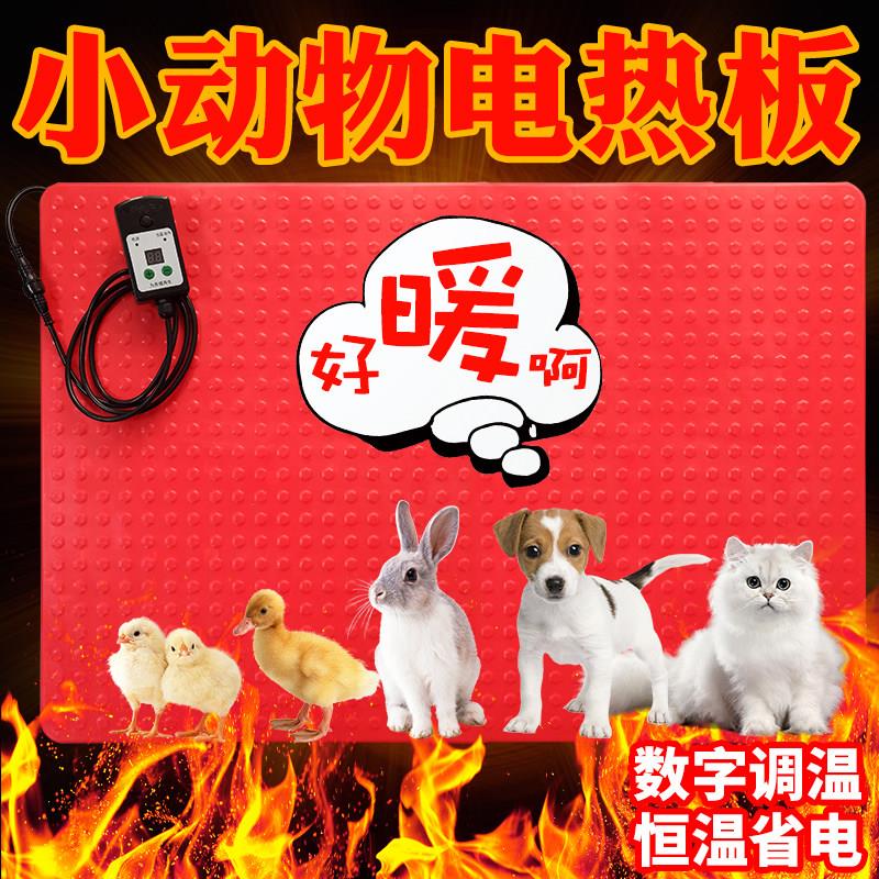 宠物电热板仔猪保温板狗用电热板蛇猫加热毯小型动物取暖设备调温