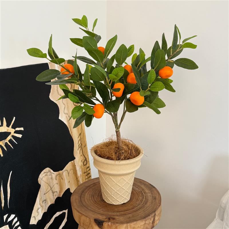 楼夏家仿真绿植盆栽窗台玄关餐桌摆件家居装饰办公室仿真植物盆景