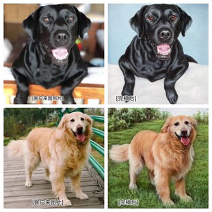 猫咪小狗狗油画定制照片人物纯手绘肖像装饰画自画像宠物来图定制