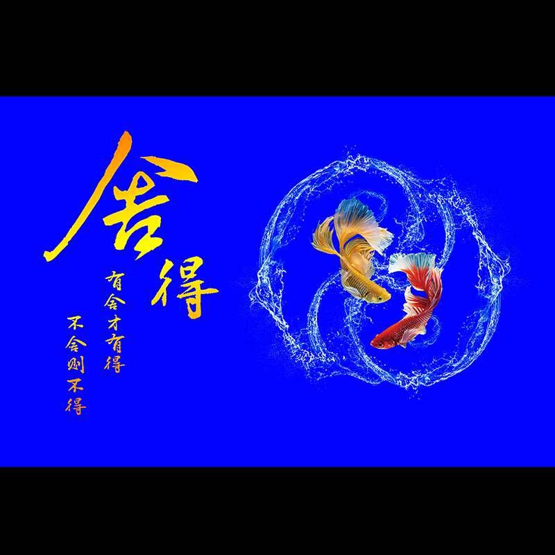 个性鱼缸背景壁纸舍得蓝高清贴纸风生水起水族箱造景立体画自粘防