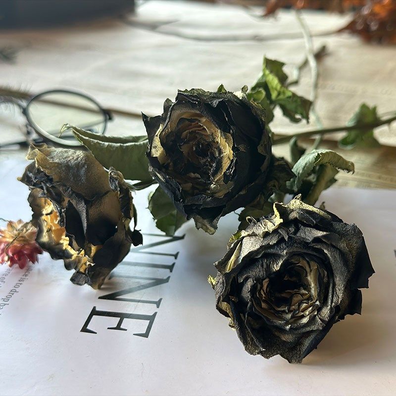喷色玫瑰干花花束家居软装创意相框玫瑰DIY材料拍照道具插花复古,家居饰品,干花/花瓣/干花包/干树枝,淘宝优惠券,粉丝福利购,淘宝优惠卷