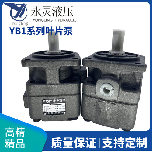 仙居永灵叶片泵YB1-100/6.3/10/12.5/16/20/25/32/63/80/125油泵