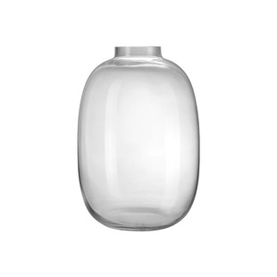 玻璃花瓶摆件客厅插花水养马醉木雪柳专用轻奢高级感透明绿植装饰