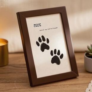 宠物爪印纪念相框狗狗脚印泥猫咪足迹毛发收集纪念品照片摆台